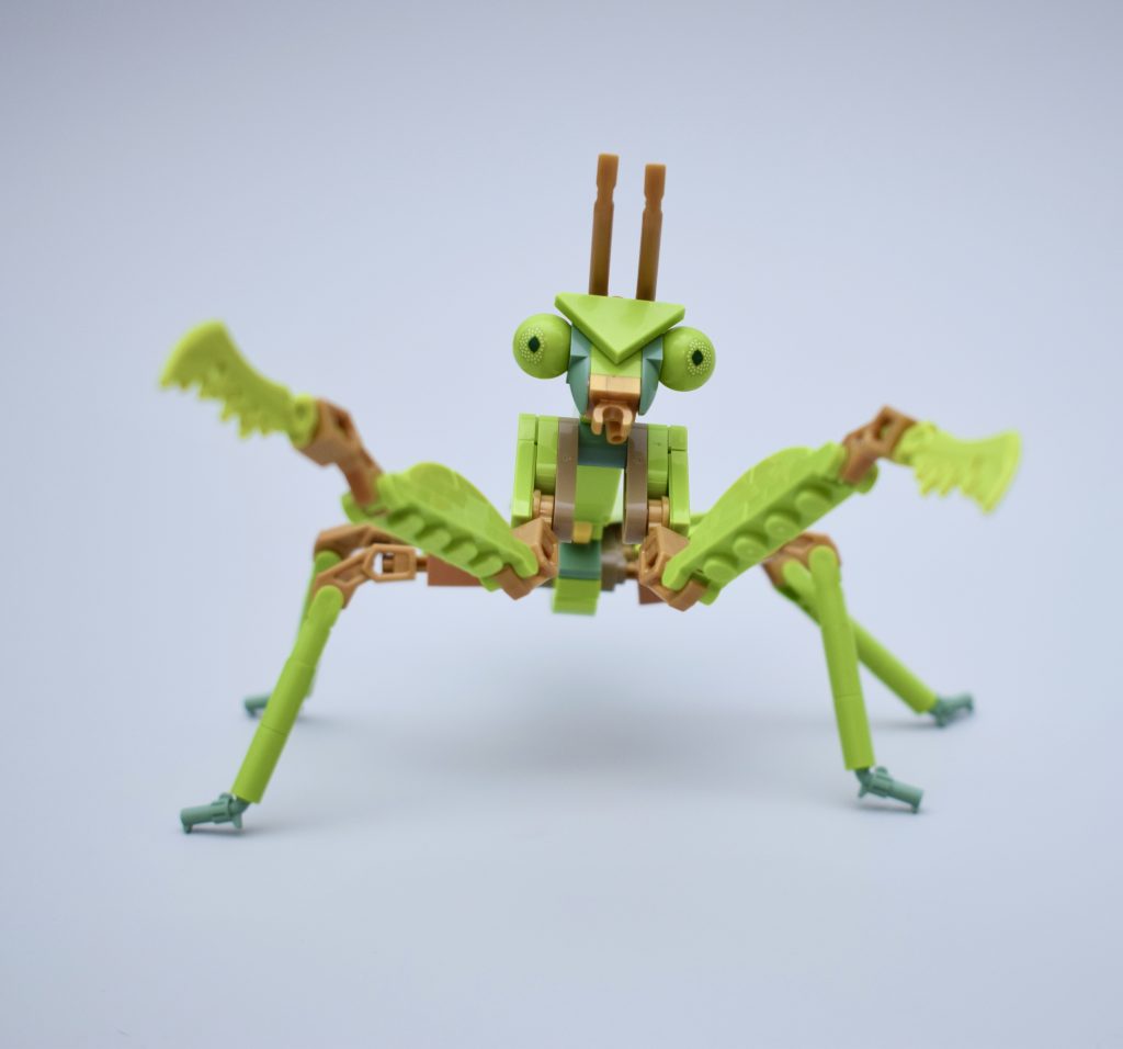 LEGO Ideas 21342 The Insects Collection Review 83 1024x956