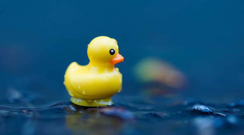 Brick Pic of the Day: Duckling
