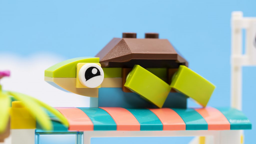 turtle sign 1024x576