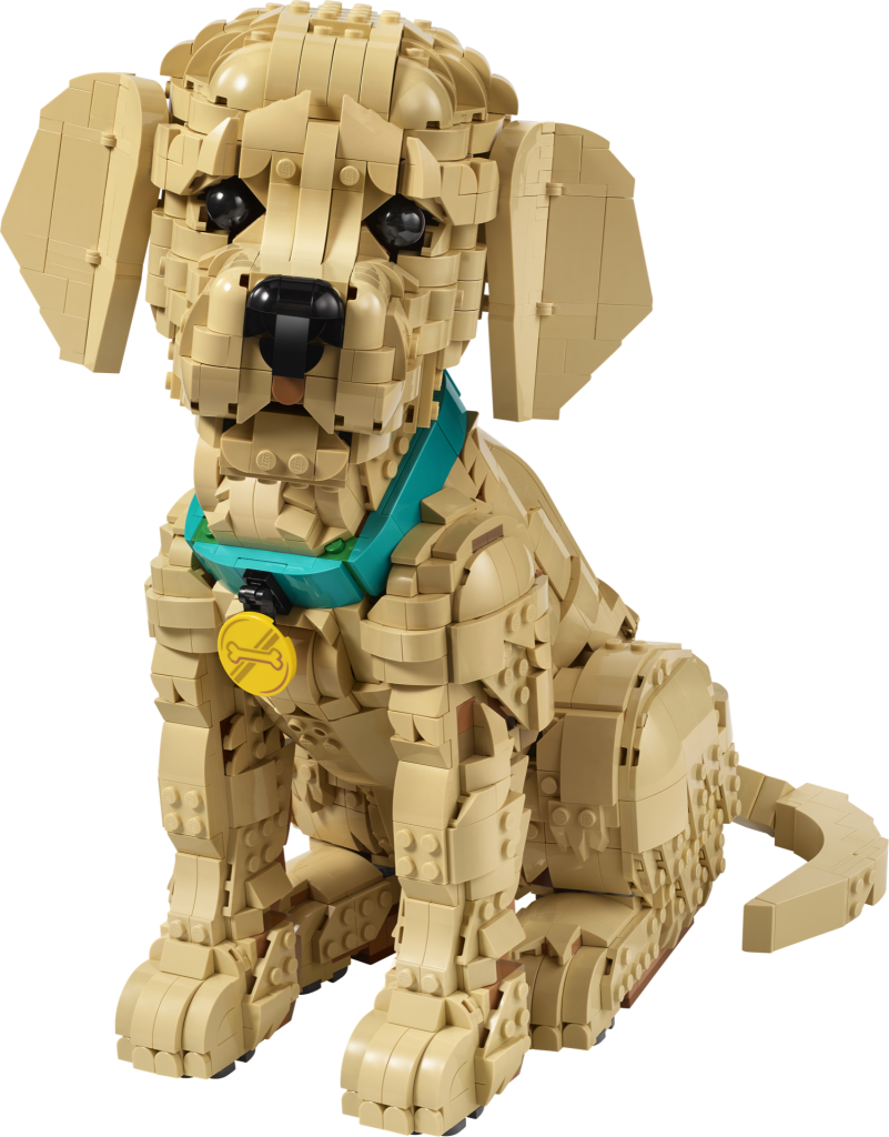 LEGO Icons 11384 Golden Retriever Puppy 30 801x1024