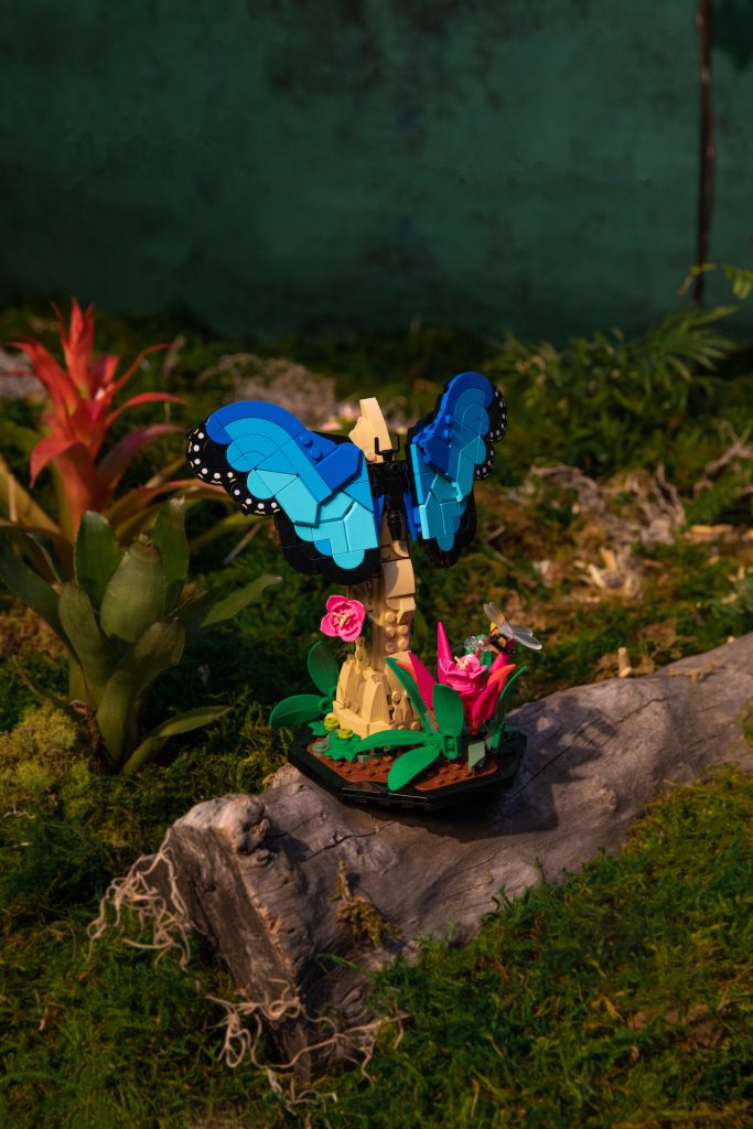 LEGO Ideas 21342 The Insect Collection 8 683x1024