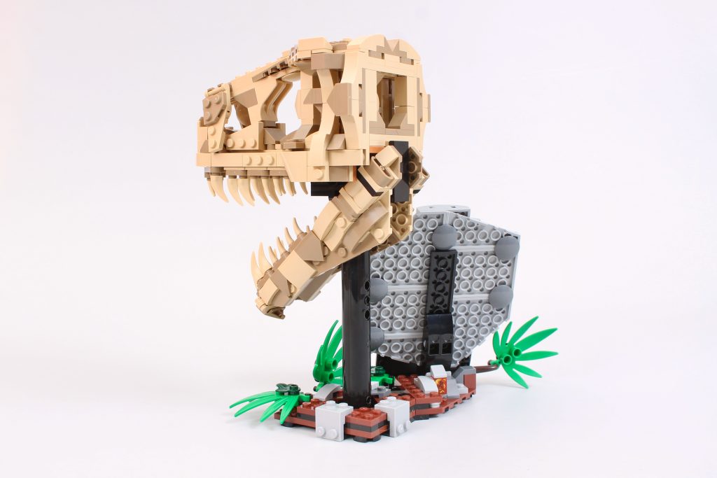 LEGO Jurassic World 76964 Dinosaur Fossils T. rex Skull review 10 1024x683