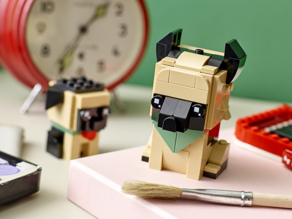 40440 lifestyle envr 03