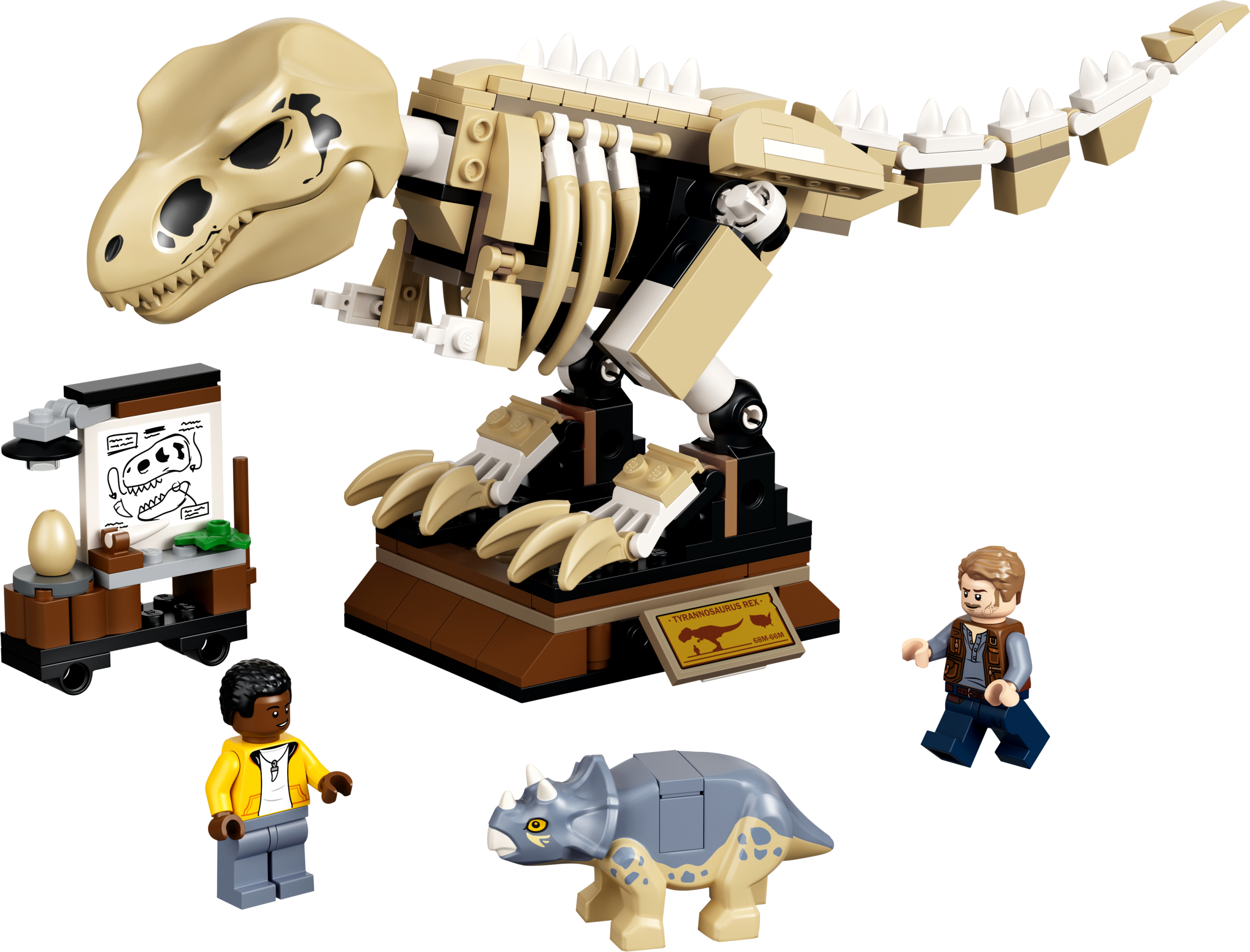 76940 scaled