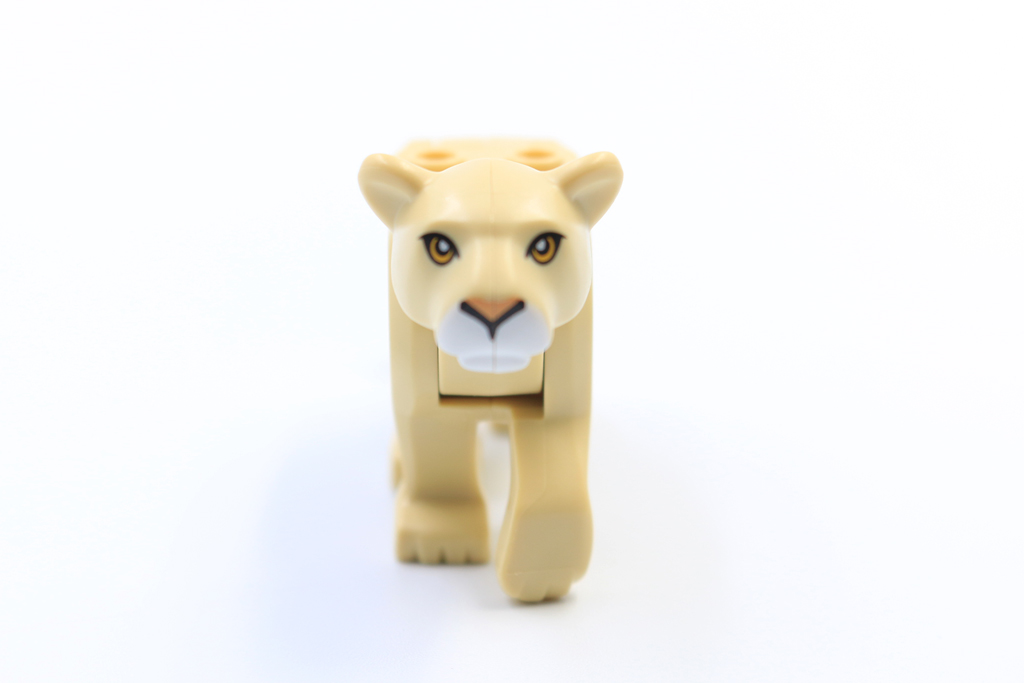 Lioness3