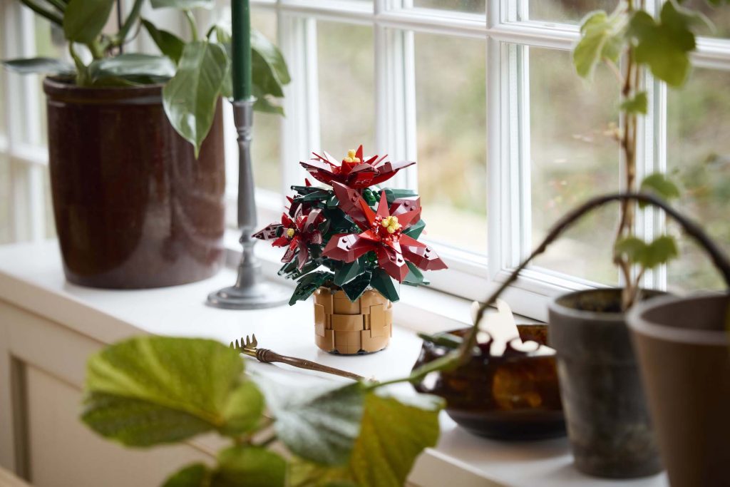 LEGO Icons Botanical Collection 10370 Poinsettia 12 1024x683