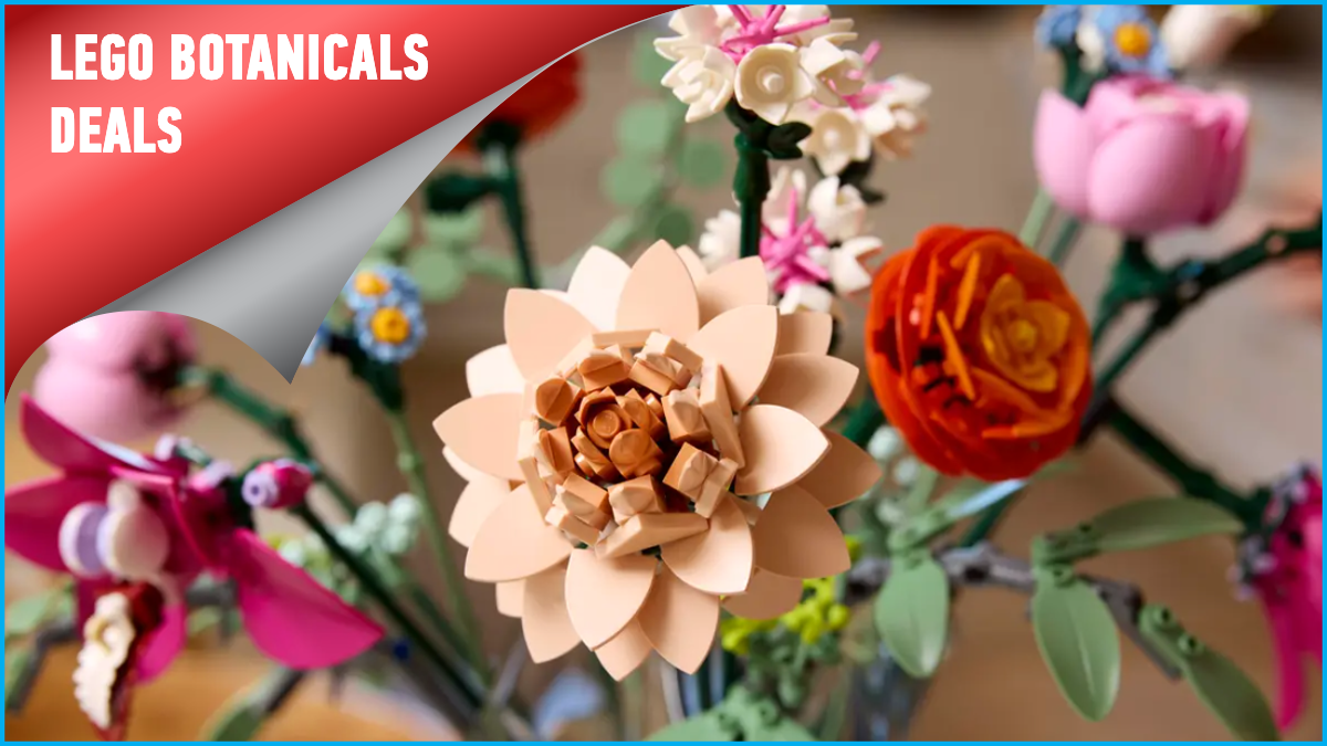 Best price yet on the latest LEGO Botanicals bouquet