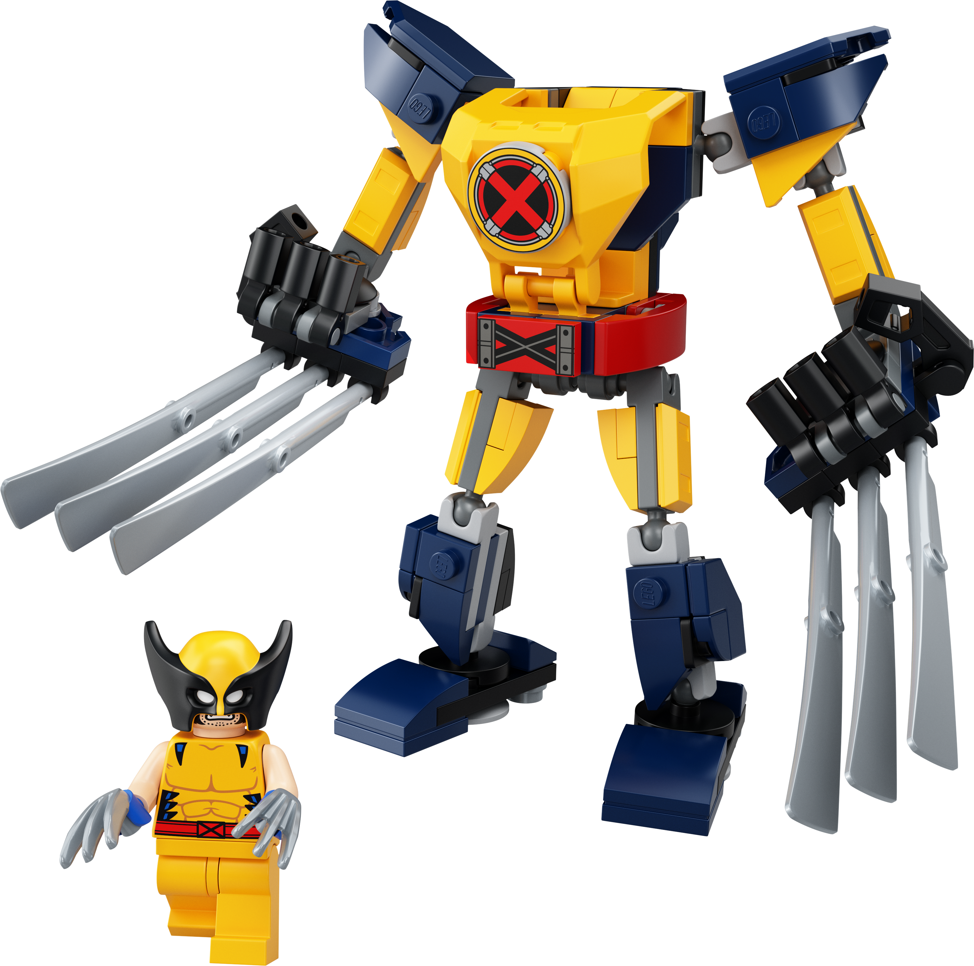 76202