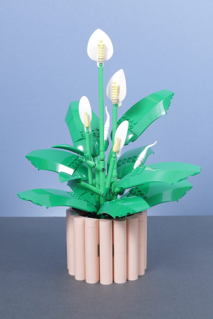 LEGO Botanicals 11501 Tulip Bouquet 11509 Flowering Cactus 11508 Daisies 11504 Peace Lily review 16 683x1024