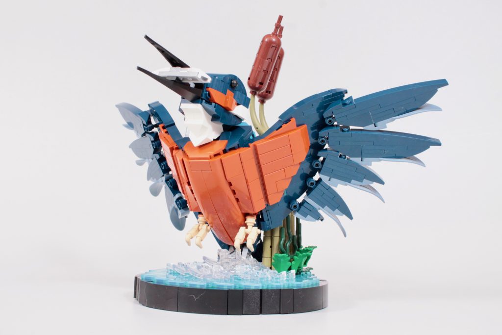 LEGO Icons 10331 Kingfisher Bird review 13 1024x683
