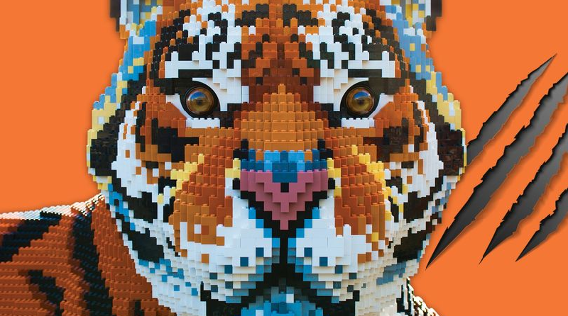 Big cat LEGO exhibition coming to Chester Zoo
